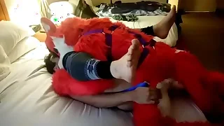 Gay XXX 0