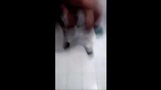 Sue&ntilde;o cumplido